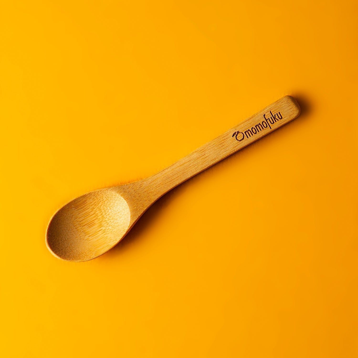 Noodle Add-Ons Pack - Bright Touch